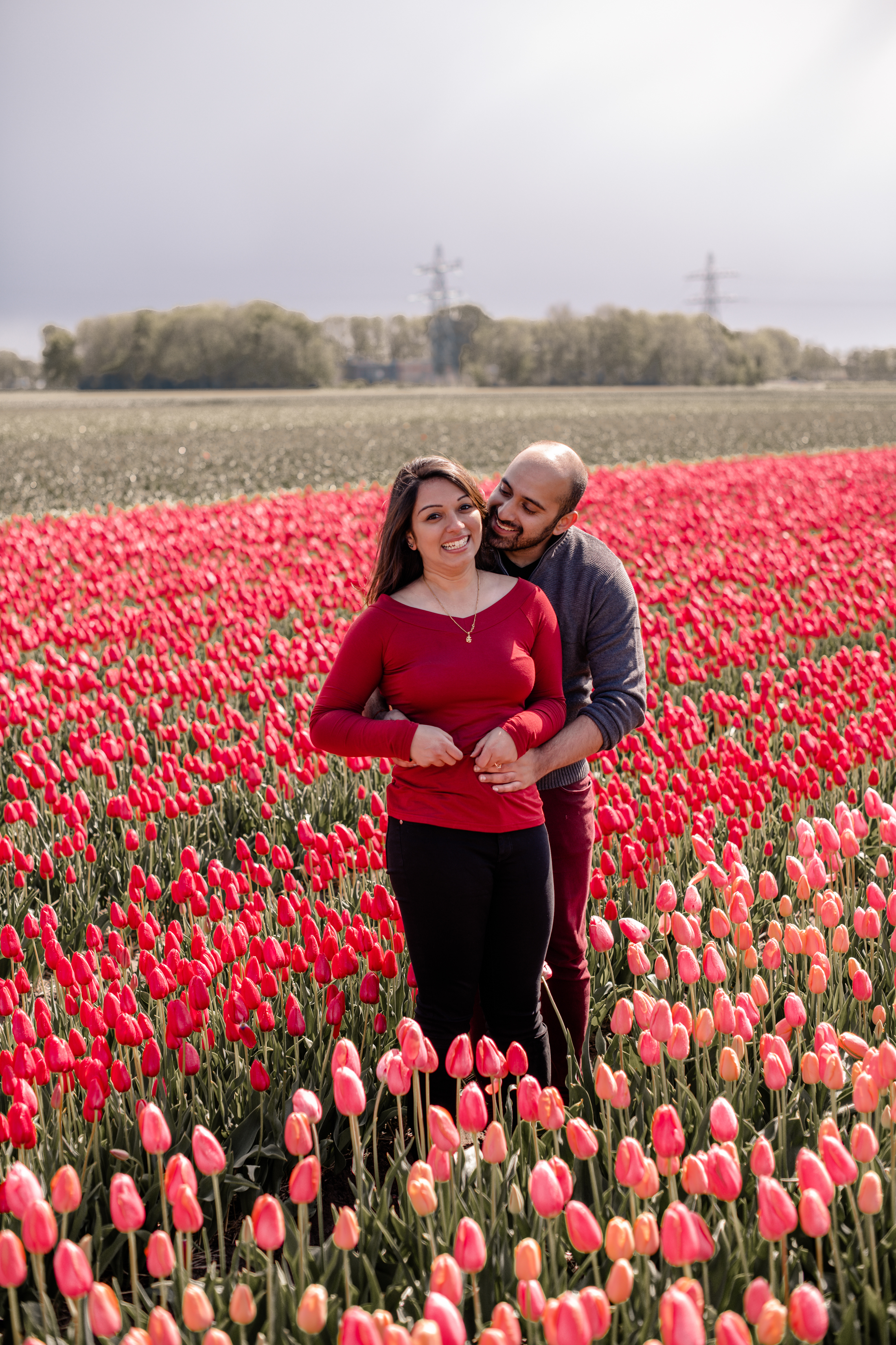 tulips photographer netherlands
